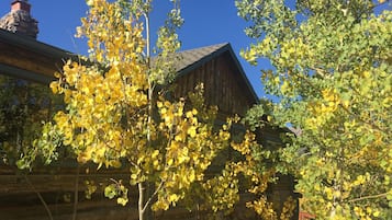 DĂ©tail de lâextĂ©rieur