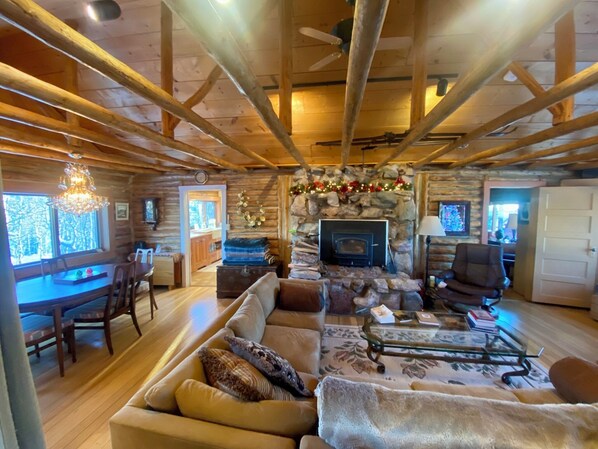 Smart TV, fireplace, DVD player, books