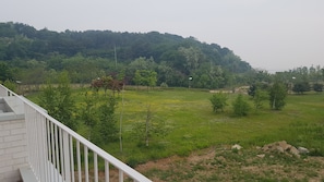 View from room