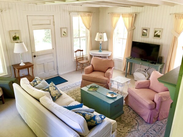 Televisión, chimenea y libros 