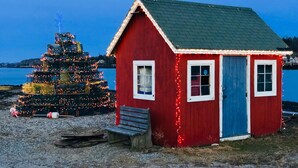 A small red wooden building with a blue door and windows, situated on a gravel area near a decorated Christmas tree. - Sea Rose Cottage - Cozy, Comfortable, Ocean Views on Orr's Island, Harpswell, ME (Harpswell)