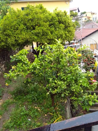 Appartement en pierre récemment rénové