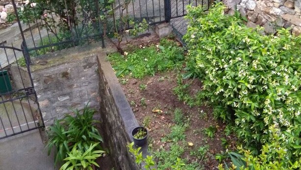 A stone wall with a metal fence, a garden with various plants, and a building in the background.