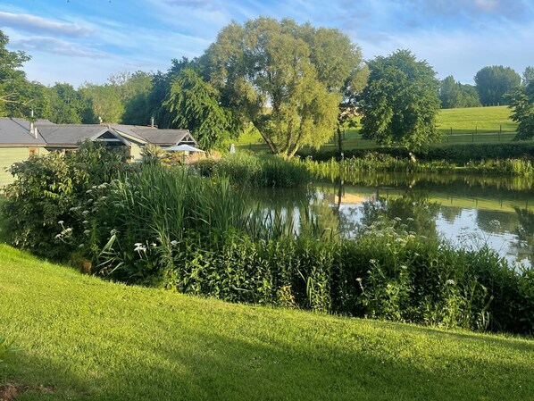 Ulkoalueet