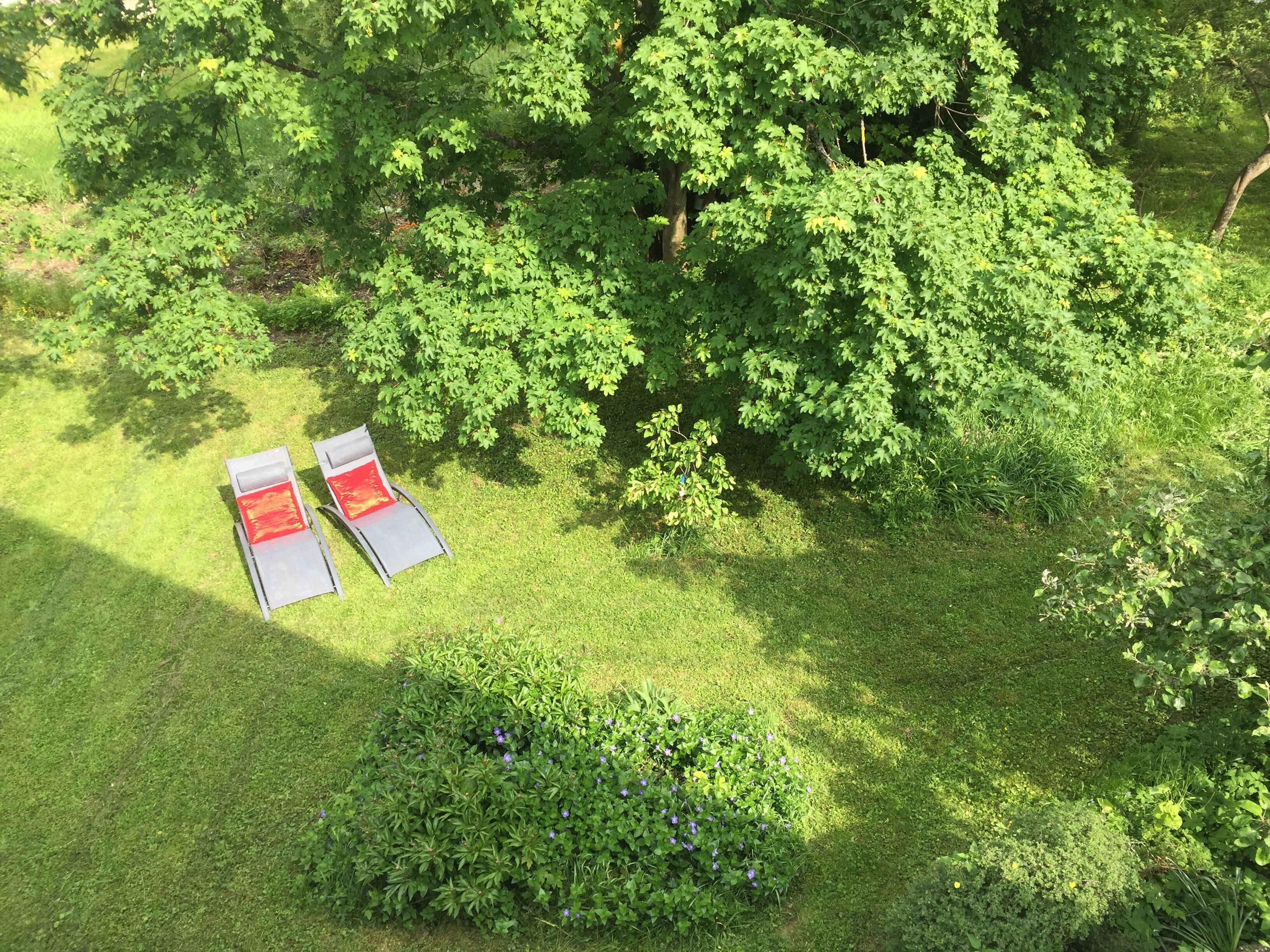 Àrea exterior de l'allotjament