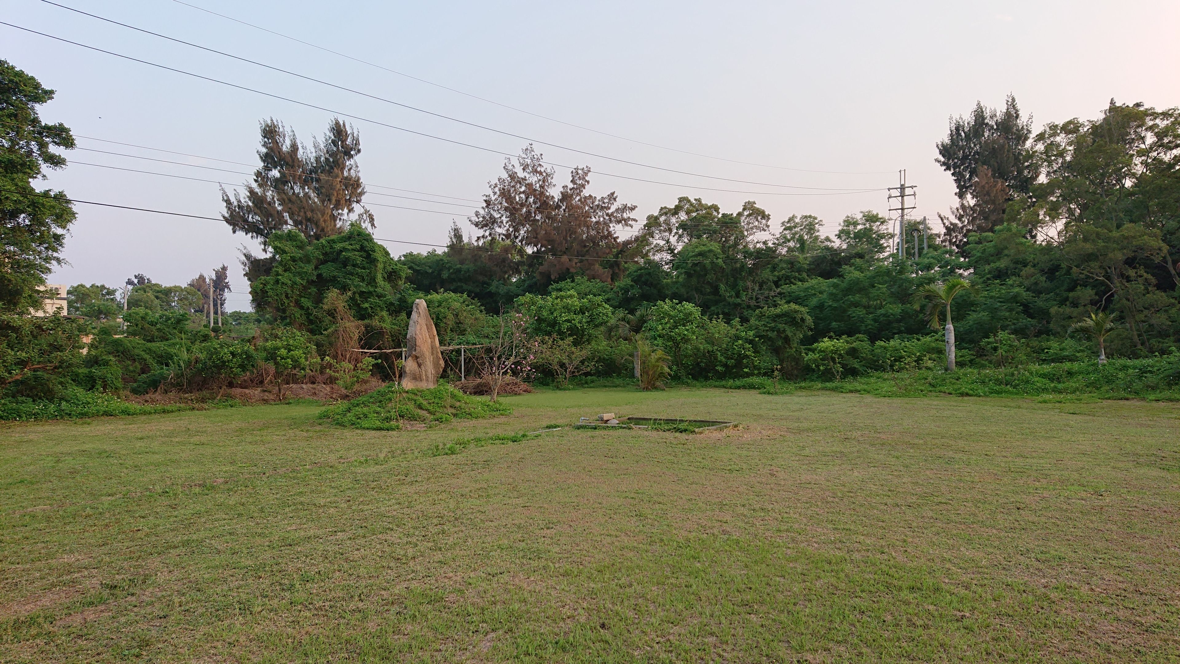 A grassy field with a large rock and a small pond. There are trees and power lines in the background.