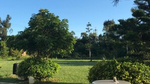 A garden with a stone table and benches, surrounded by trees and greenery. - Kinmen Laoye B&B (Jinhu)