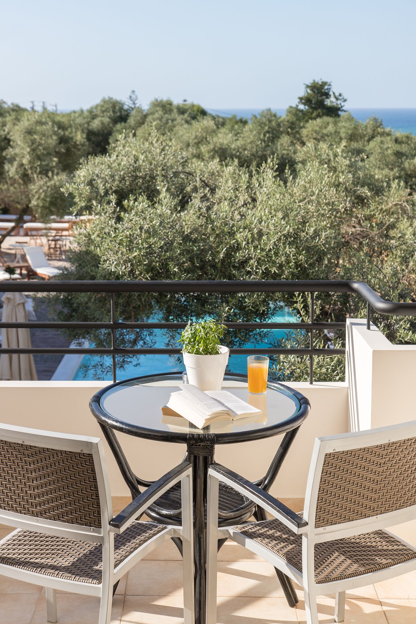 Standard Studio, Pool View | Balcony