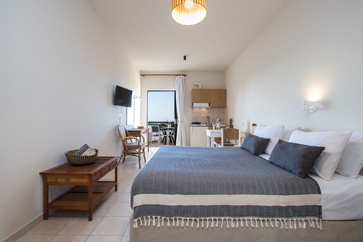 A bedroom with a bed, a desk, a chair, a TV, and a kitchenette.