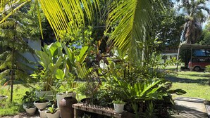 A garden with various potted plants and a wooden bench. - La Vida Hostel (Samal)