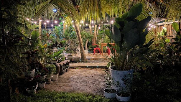 A well-lit indoor garden with potted plants, a wooden bench, and a pathway leading to a seating area. - La Vida Hostel (Samal)