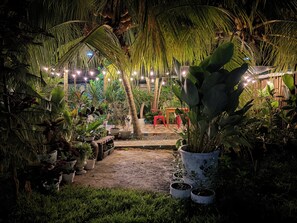 Un jardín interior bien iluminado con plantas en macetas, un banco de madera y un camino que conduce a una zona de estar.