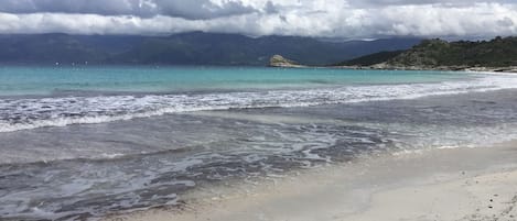 Plage à proximité, chaises longues, serviettes de plage