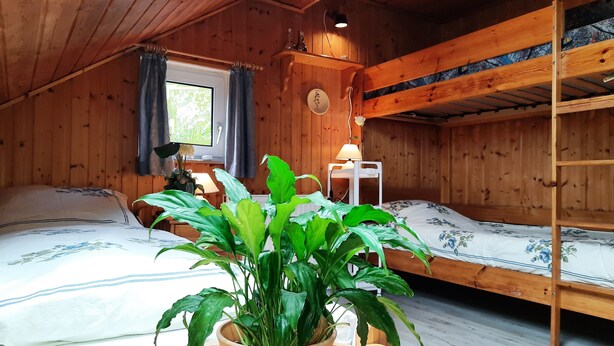 Une chambre dans un chalet en bois, avec des lits superposés, une fenêtre avec des rideaux, une table de chevet avec une lampe et une plante en pot.