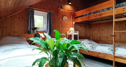 große ruhige zentrale Ferienwohnung