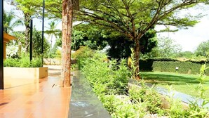 Un jardín con un camino de baldosas, una palmera y un seto.