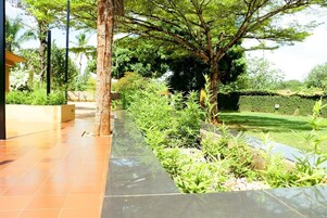 Un jardín con un camino de baldosas, una palmera y un seto.