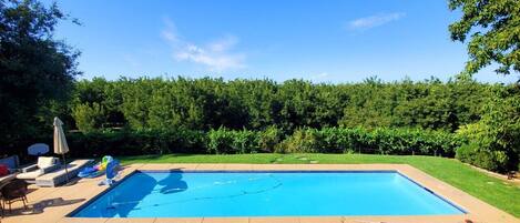A rectangular swimming pool with a clear blue water surface, surrounded by a well-maintained lawn and dense greenery.