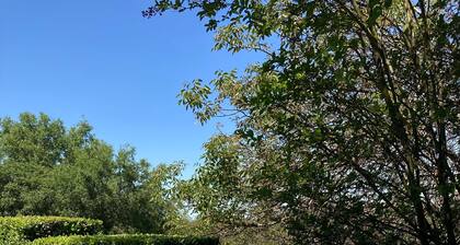 Sip, Swim, Sleep Soak,Escape! Lodi wineries minutes away