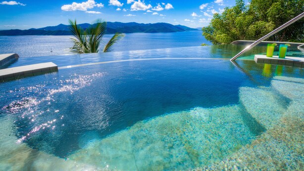 Una piscina infinita con agua cristalina, una palmera y una vista de montaña al fondo.