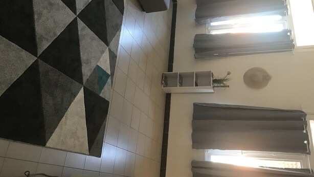Una habitación con un tapete de diseño geométrico, un sofá, un estante blanco pequeño con una planta y una ventana con cortinas.