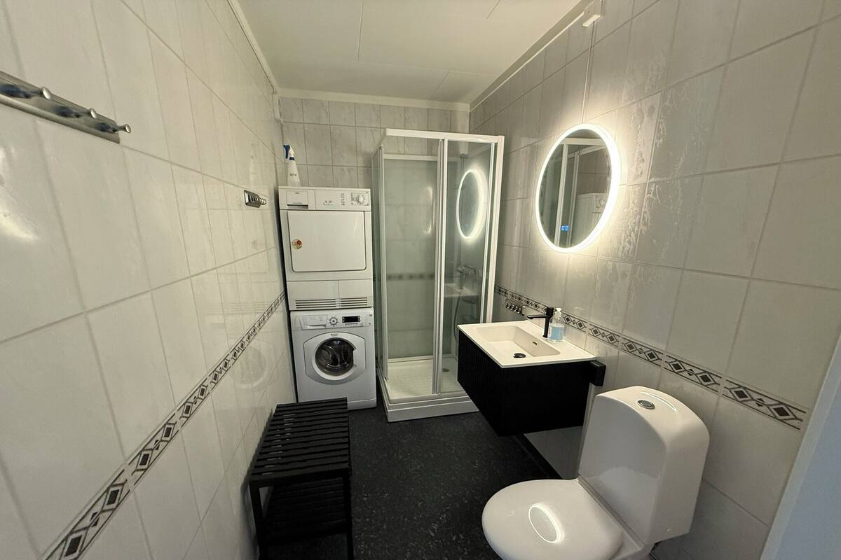 Une petite salle de bain équipée d’un lave-linge, d’un évier et de toilettes.