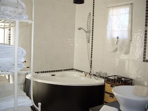 Bathtub, hair dryer, soap, toilet paper