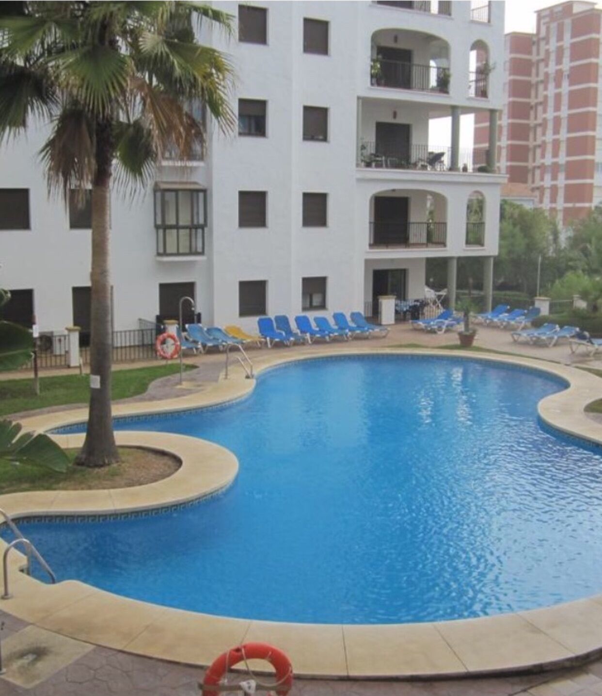 Una piscina amb aigua blava, envoltada de gandules i una palmera.