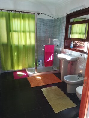 Een douche, gratis toiletartikelen, een haardroger, een bidet