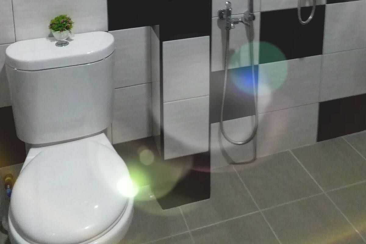 Une salle de bain moderne avec des toilettes, une douche et une petite plante en pot posée sur les toilettes.