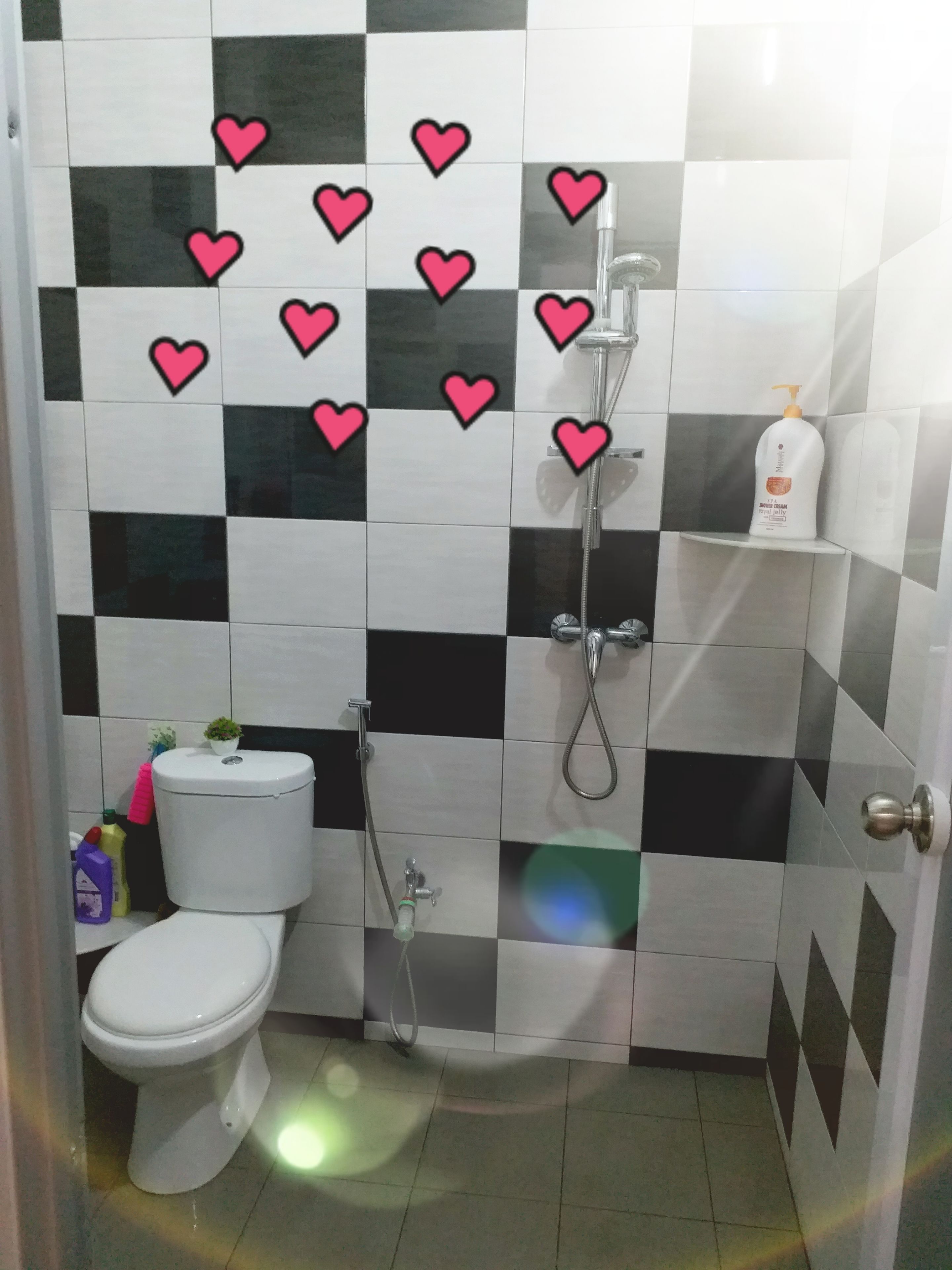 A bathroom with a toilet, a shower, and a shelf with toiletries.