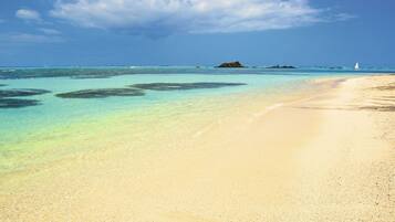 Plage à proximité, sable blanc, chaises longues, parasols