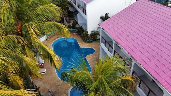 Outdoor pool, pool umbrellas, pool loungers