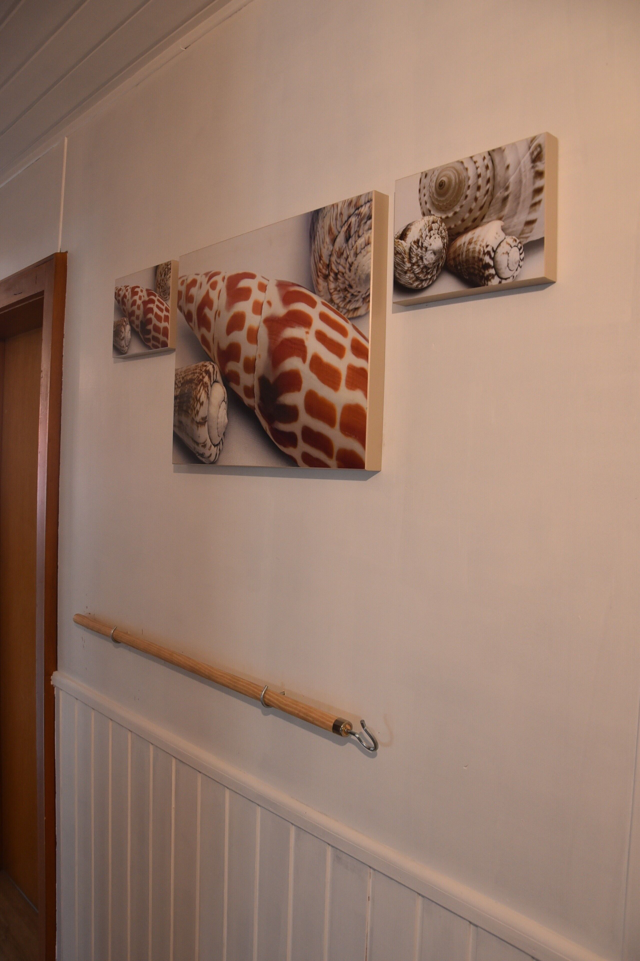 economy single room | bathroom | shower, hair dryer, towels, toilet paper