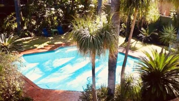 Une piscine rectangulaire bordée de briques, entourée de palmiers et d’autres plantes vertes.