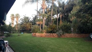 Un jardin bien entretenu, agrémenté de divers arbres et arbustes, d’un mur de soutènement en briques et d’une pelouse soigneusement taillée.