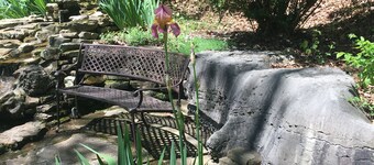 Secluded Charming Cabin in the woods, dog friendly, stone fireplace, jucuzzi tub