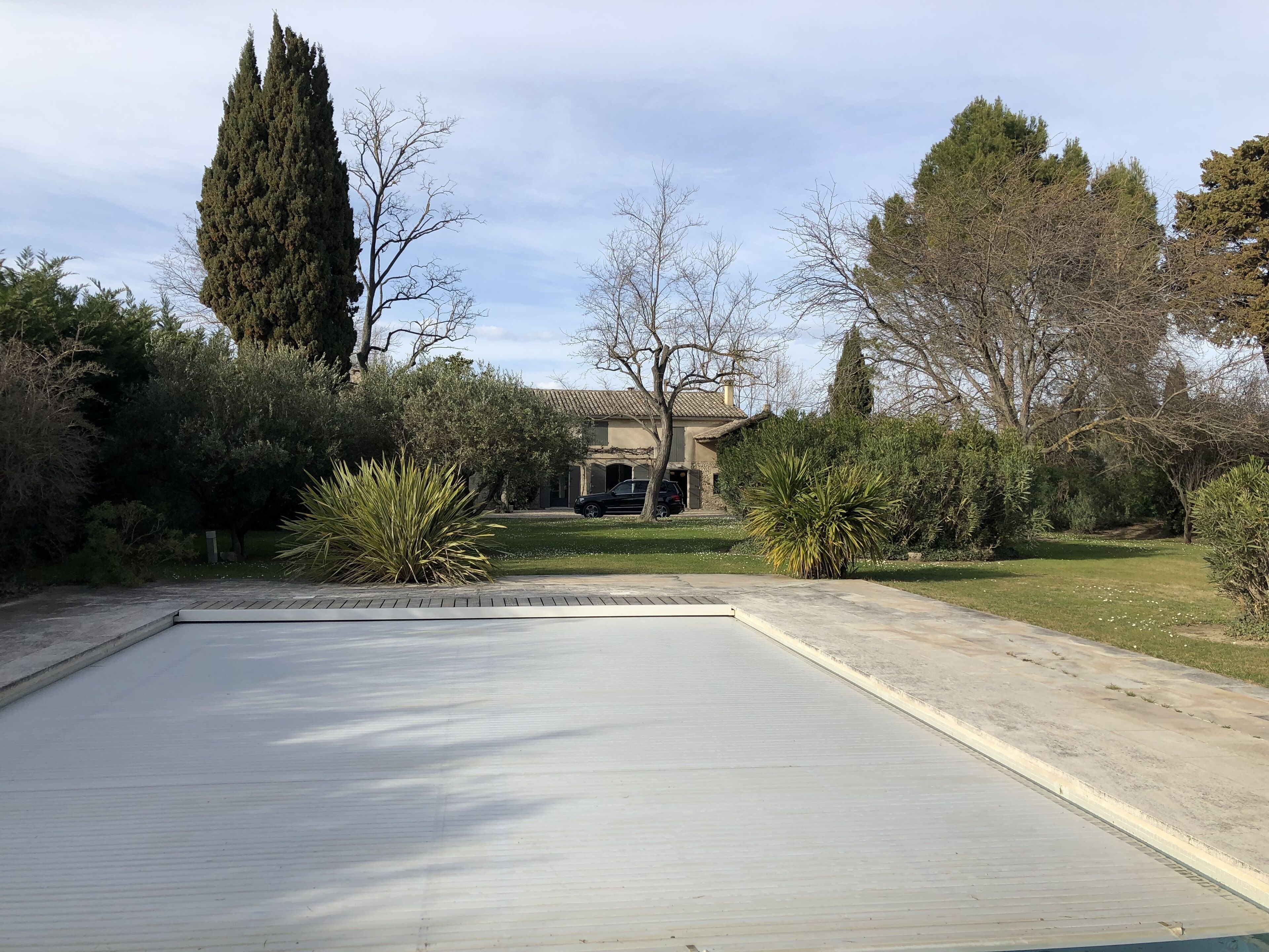 A swimming pool with a tiled deck, surrounded by various shrubs and trees.