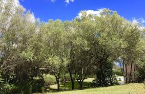 Parco della struttura