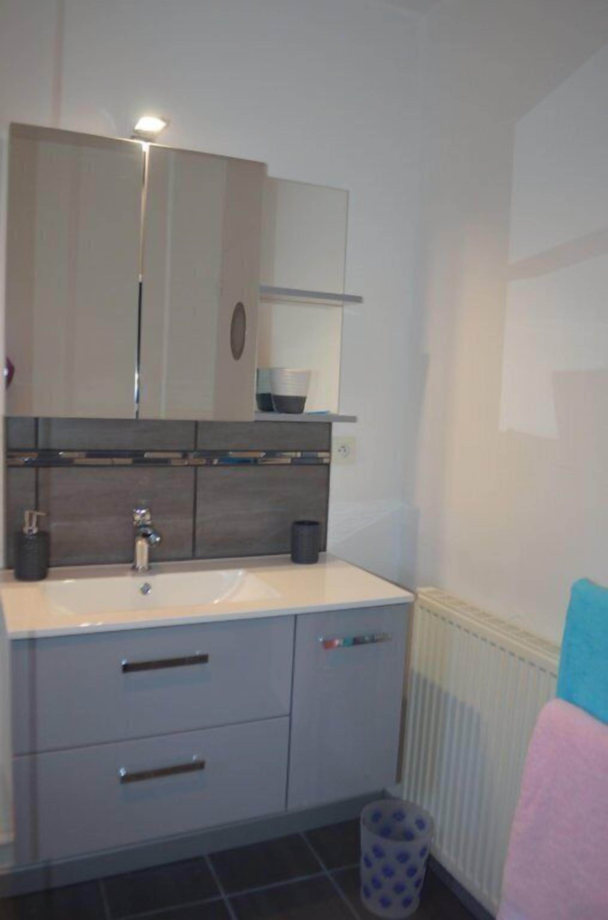 A modern bathroom with a white sink, grey cabinets, and a mirror above the sink.