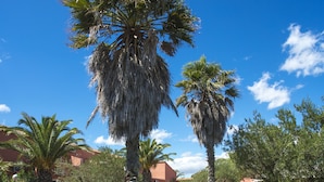 Garden - Residence Antinea (Argelès-sur-Mer)