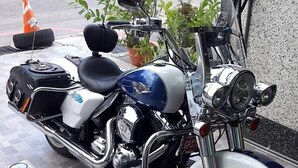 A motorcycle parked on a paved surface with a curb and potted plants nearby.