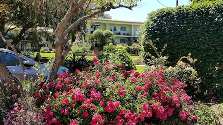 Jardín