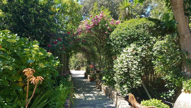 A stone pathway flanked by lush greenery and flowering plants, leading through a garden area. - Résidence Le Home (Calvi)