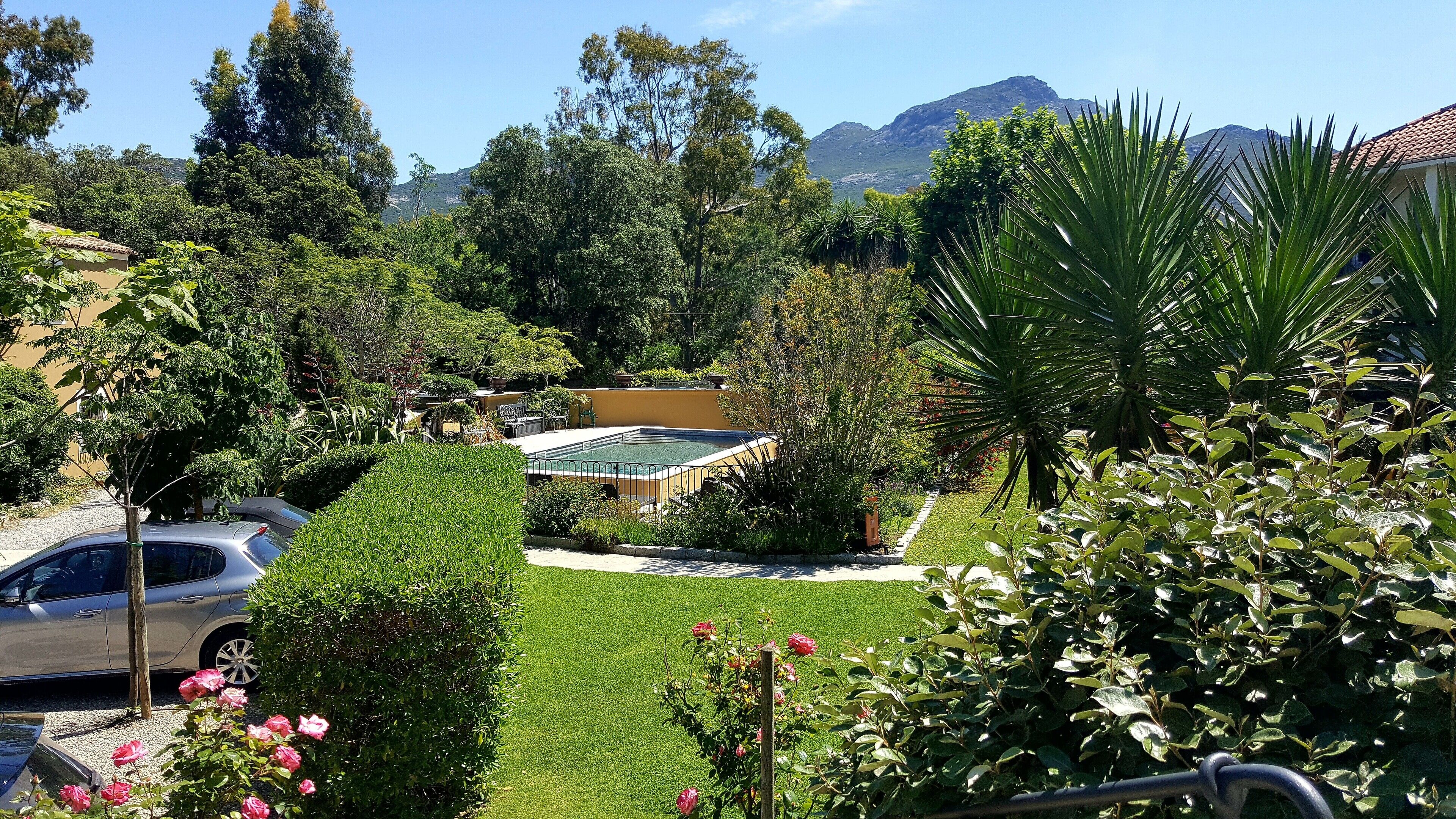Zona residencial con piscina, abundante vegetación y una montaña al fondo.