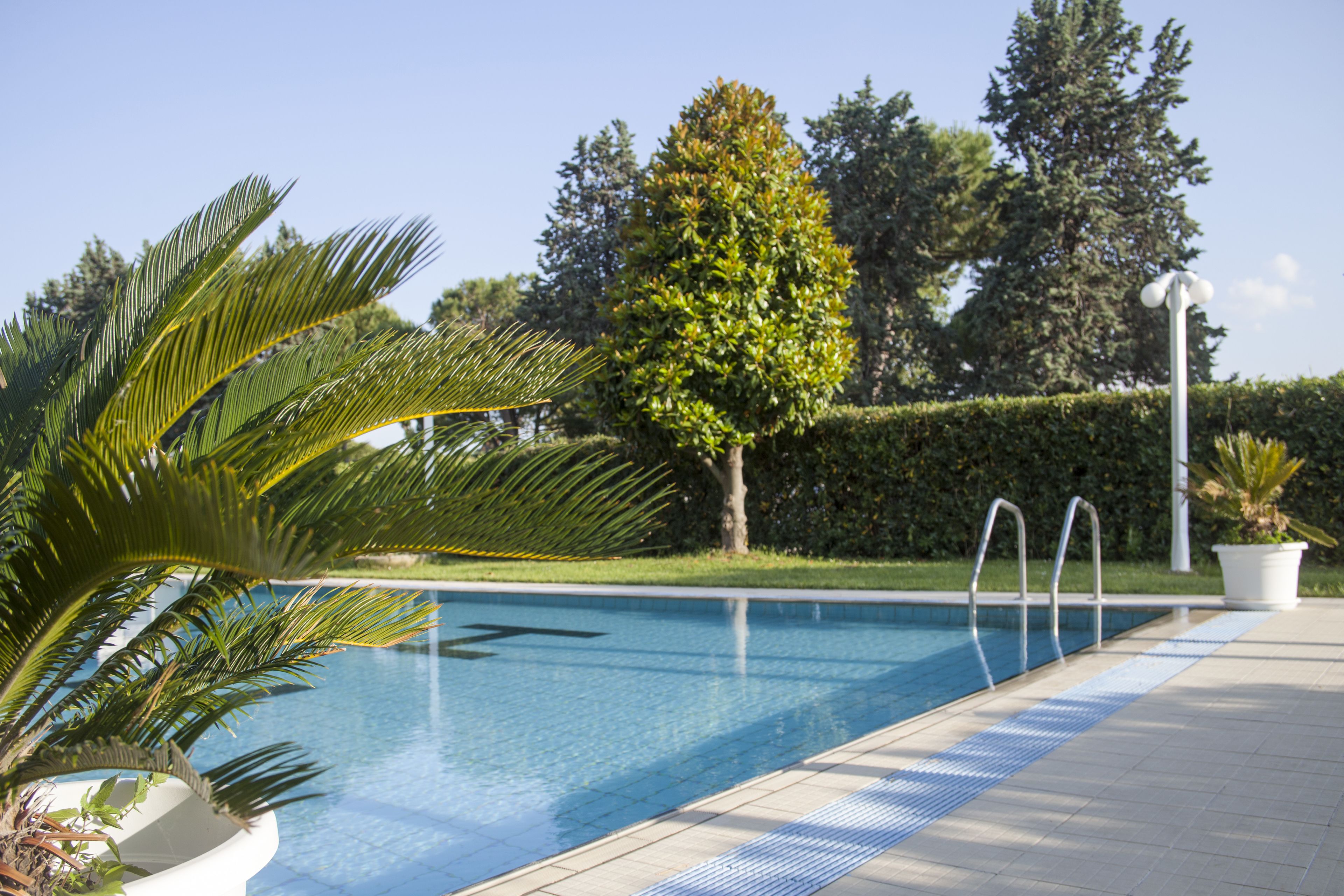 Una piscina con plataforma de baldosas, rodeada de vegetación y setos.