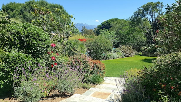Um jardim bem cuidado com diversas plantas e flores, um caminho de pedra e gramado.