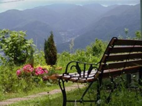 Vista desde la propiedad