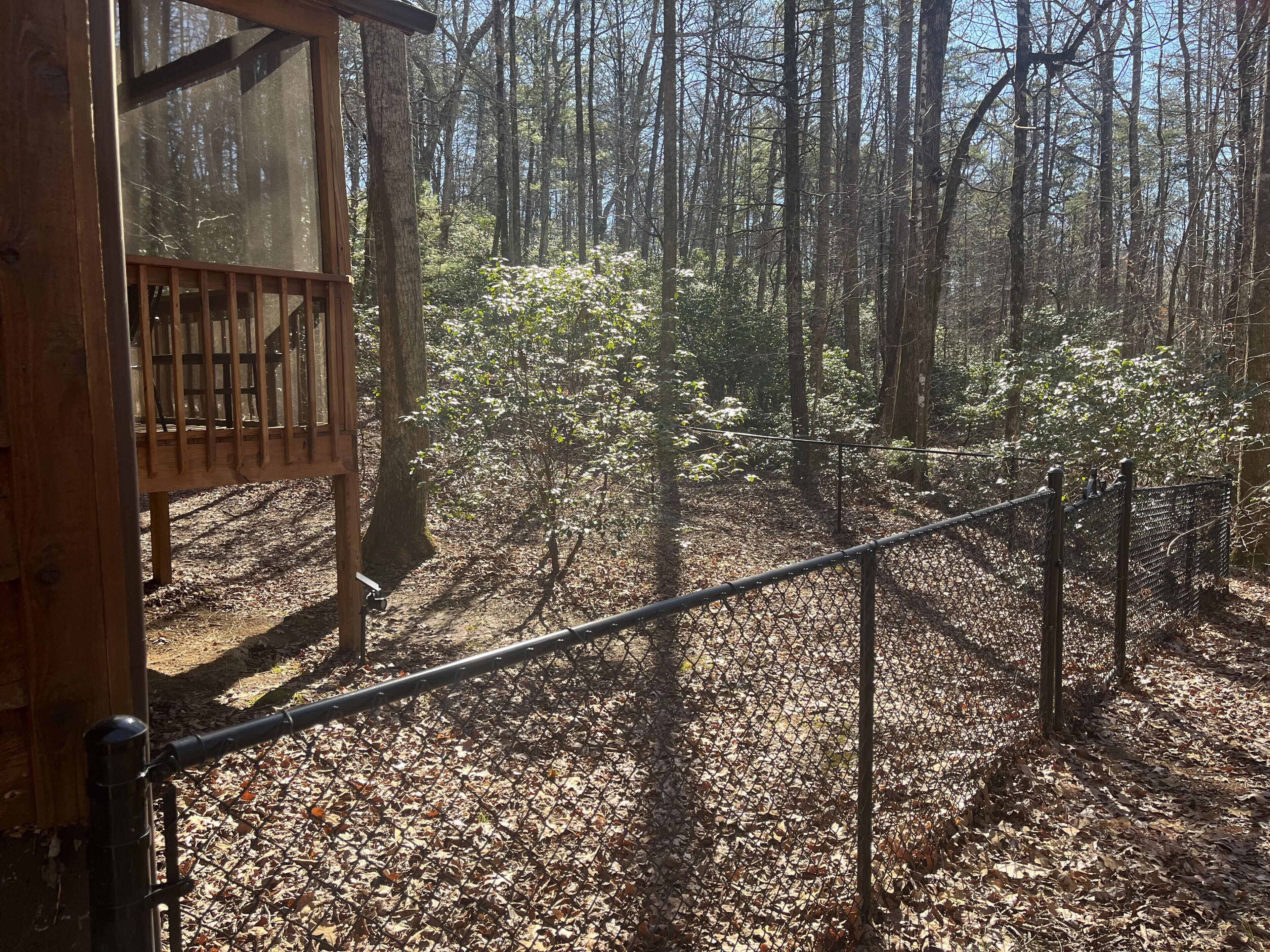 Une zone boisée avec une structure en bois, peut-être une cabane ou un chalet, entourée d’arbres et d’une clôture en treillis métallique.