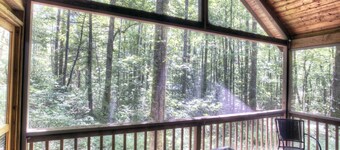 Peace in the Woods - Where Your Dogs Enjoy the Mountain Air in a Fenced Yard